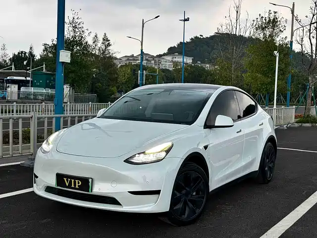 Tesla Model Y 2023 Rear-Wheel Drive Edition