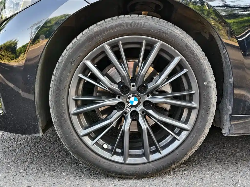 BMW 3 Series 2023 325Li M Sport Black Night Package фото 15