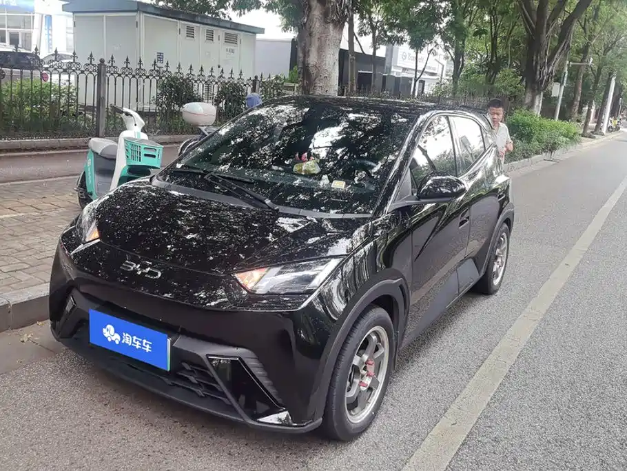  BYD Seagull 2024 Glory Edition 405km Soaring Edition
