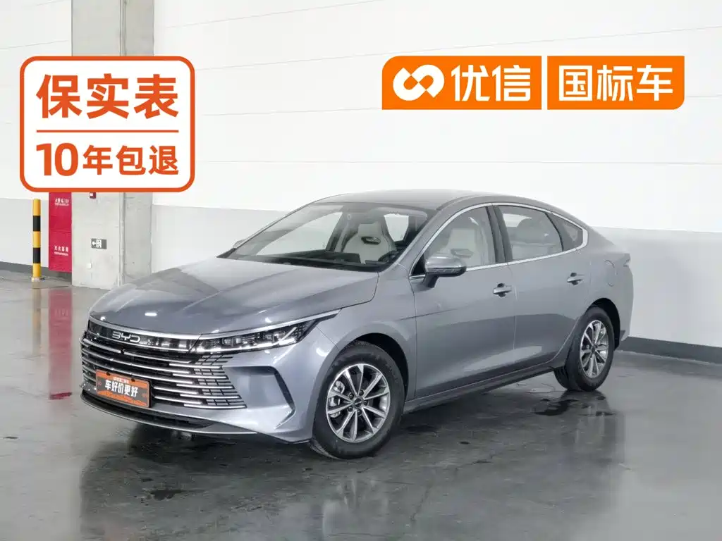 BYD Destroyer 05 2024 2024 Glory Edition DM-i 55KM Luxury