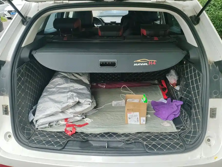 Haval H4 2020 2019 1.5GDIT Manual Luxury Smart Connect Edition China V