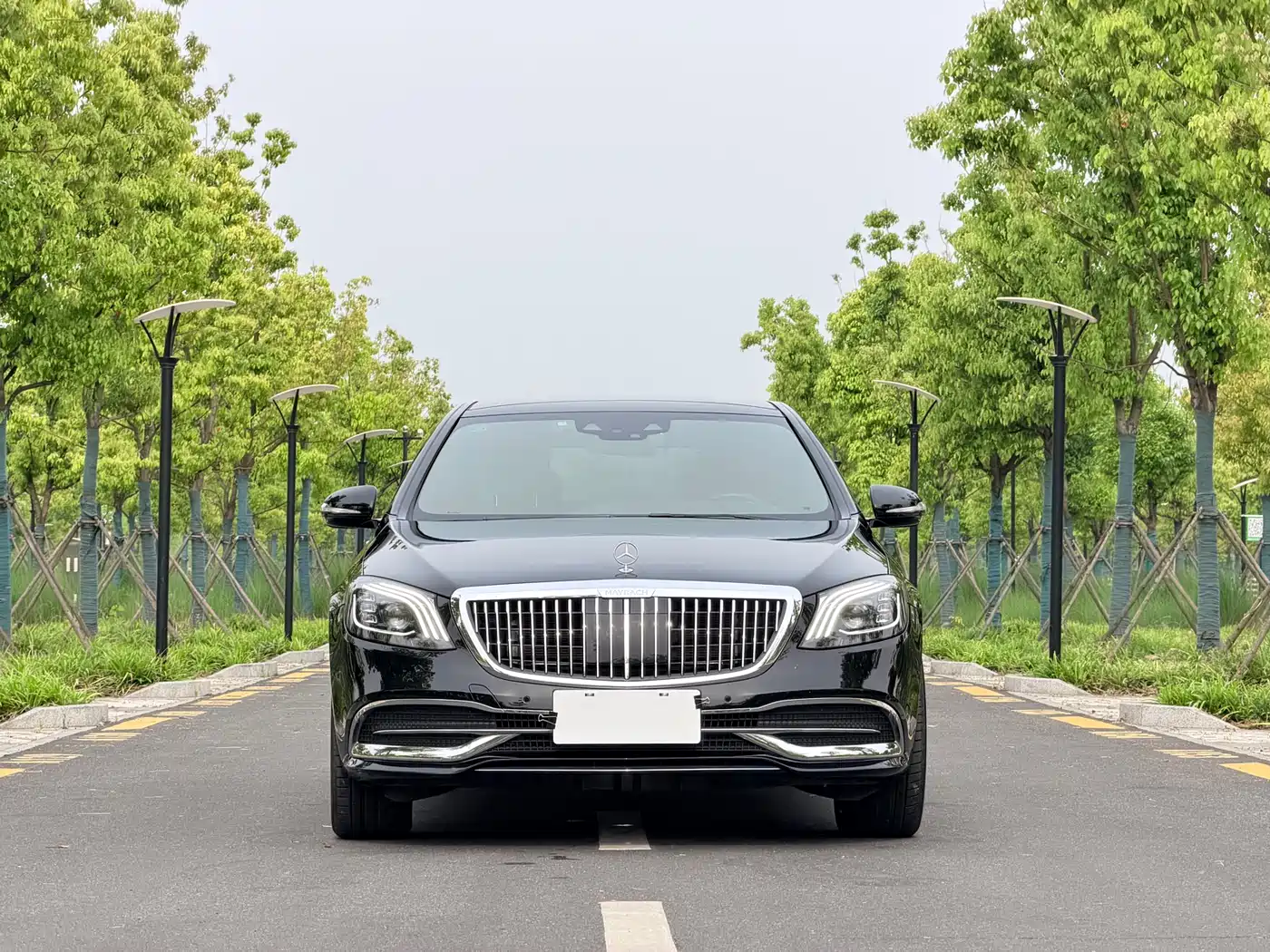 Mercedes-Benz S-Class 2020 S 350 L Business Edition Collector's Version фото 2