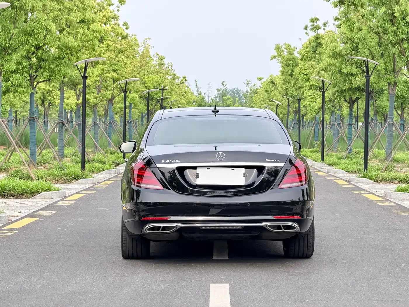 Mercedes-Benz S-Class 2020 S 350 L Business Edition Collector's Version фото 15