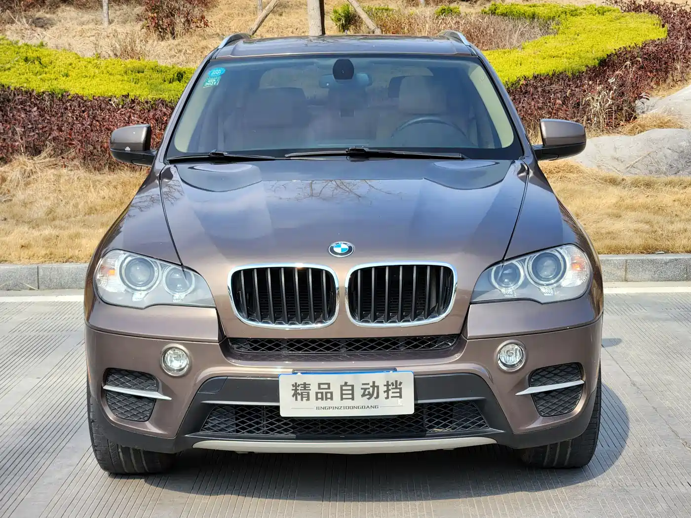 BMW X5 (Import) 2013 xDrive35i Leading фото 3
