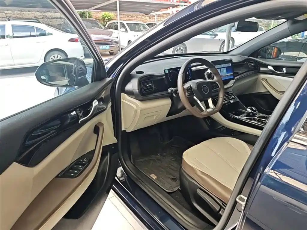 BYD Qin PLUS 2024 Glory Edition DM-i 55KM Leading фото 16
