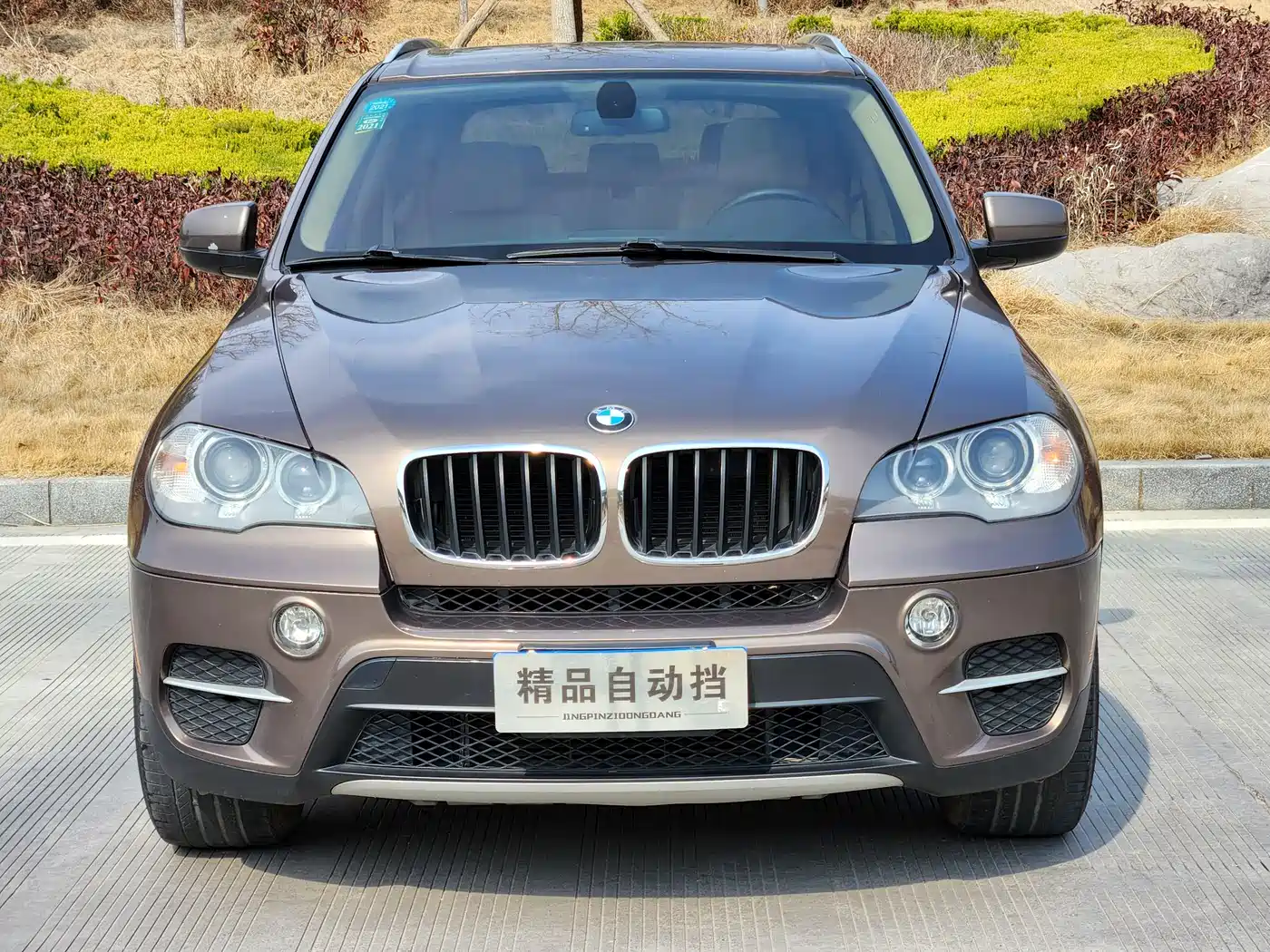 BMW X5 (Import) 2013 xDrive35i Leading