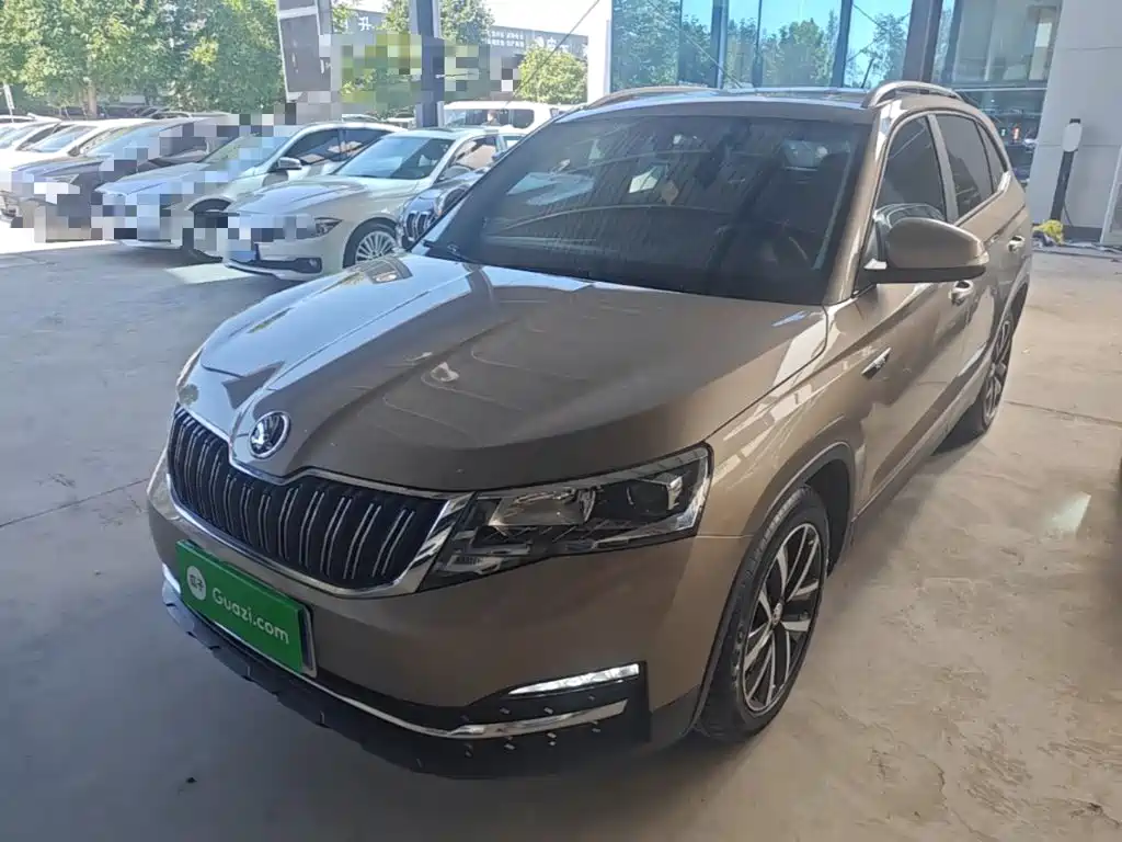 Škoda Kamiq 2021 — пригон из Китая