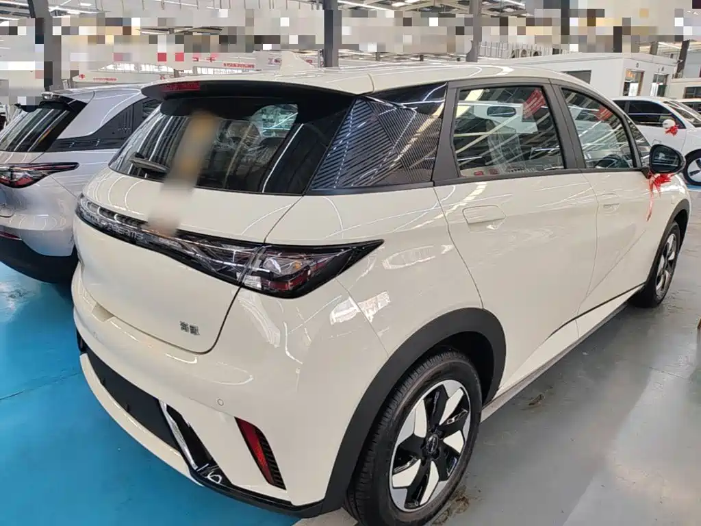Фото 7 - BYD Dolphin