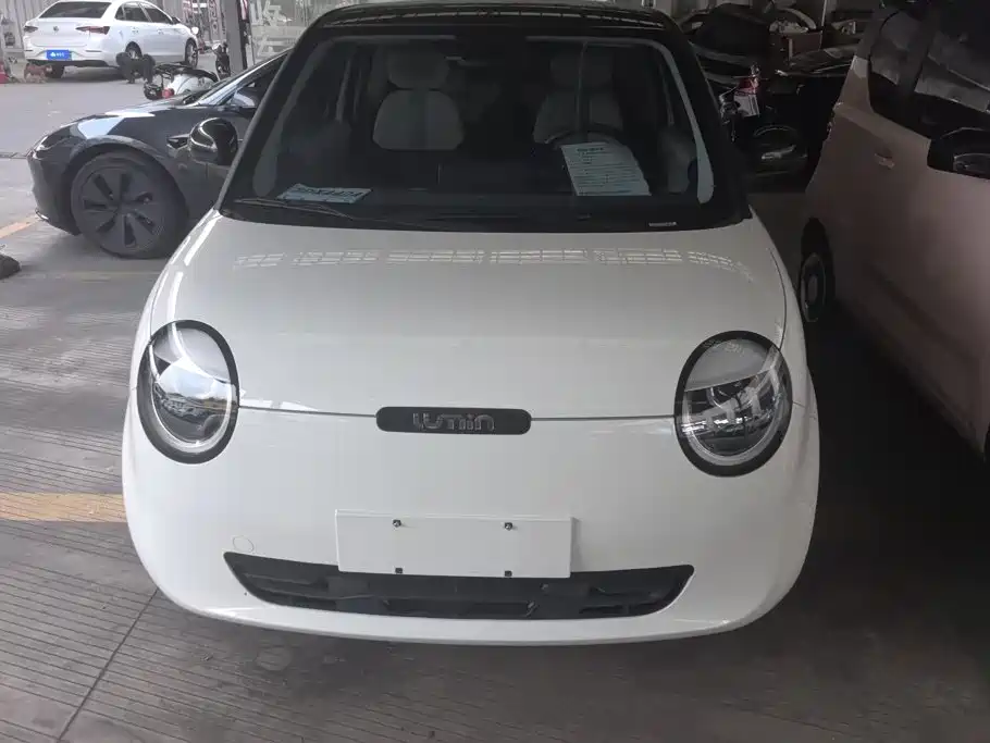Changan Lumin 2024 2023 Model 205km Fragrant Edition