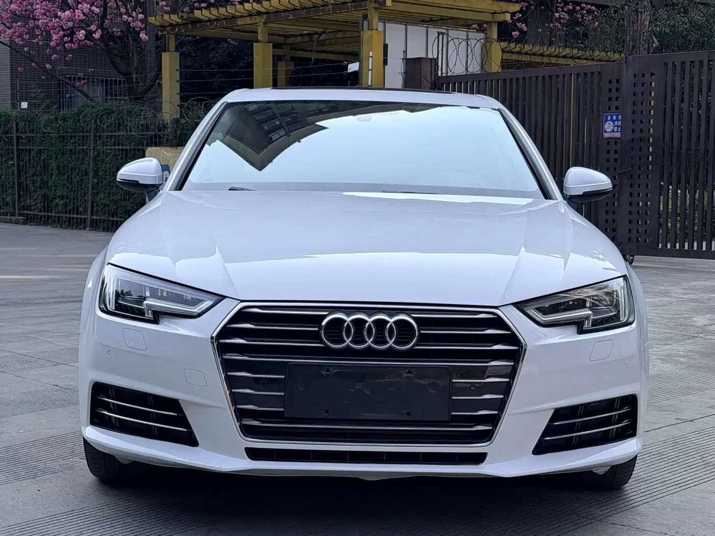 Audi A4L 2018 30th Anniversary 40 TFSI Progressive фото 3