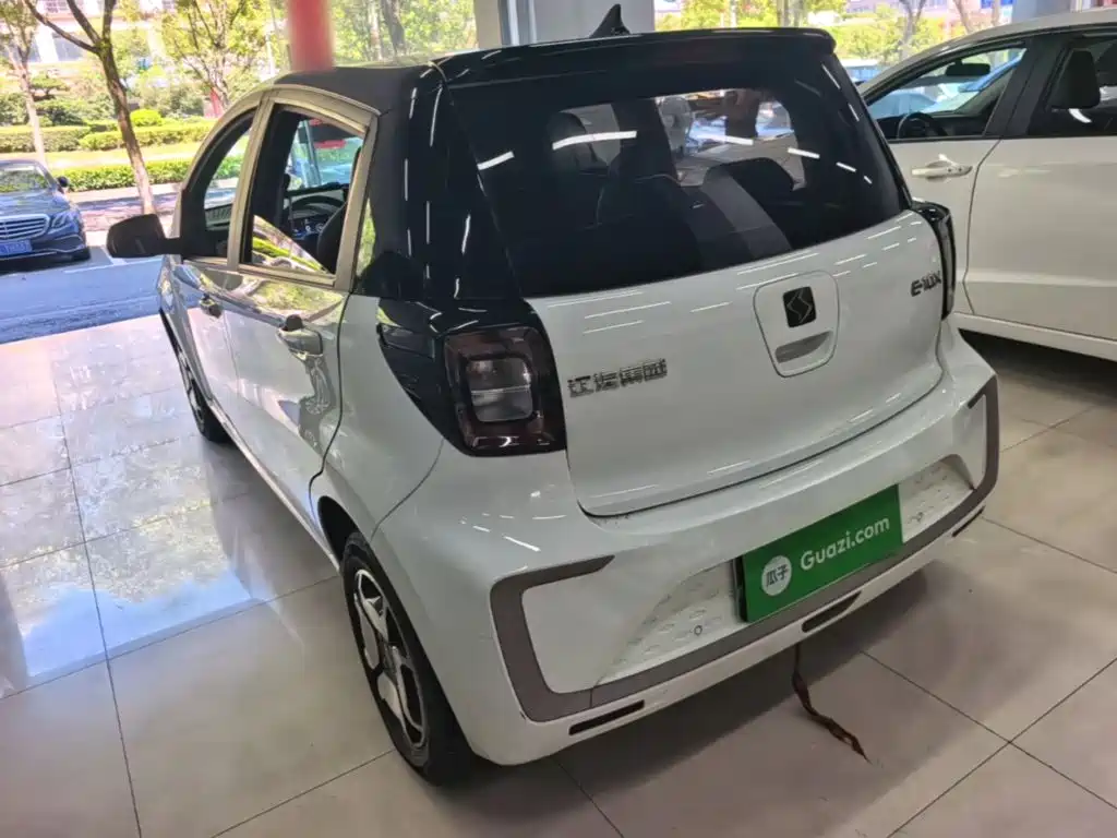 Sehol Flower Fairy 2023 2023 Anniversary Edition 301km Sunflower 36kW