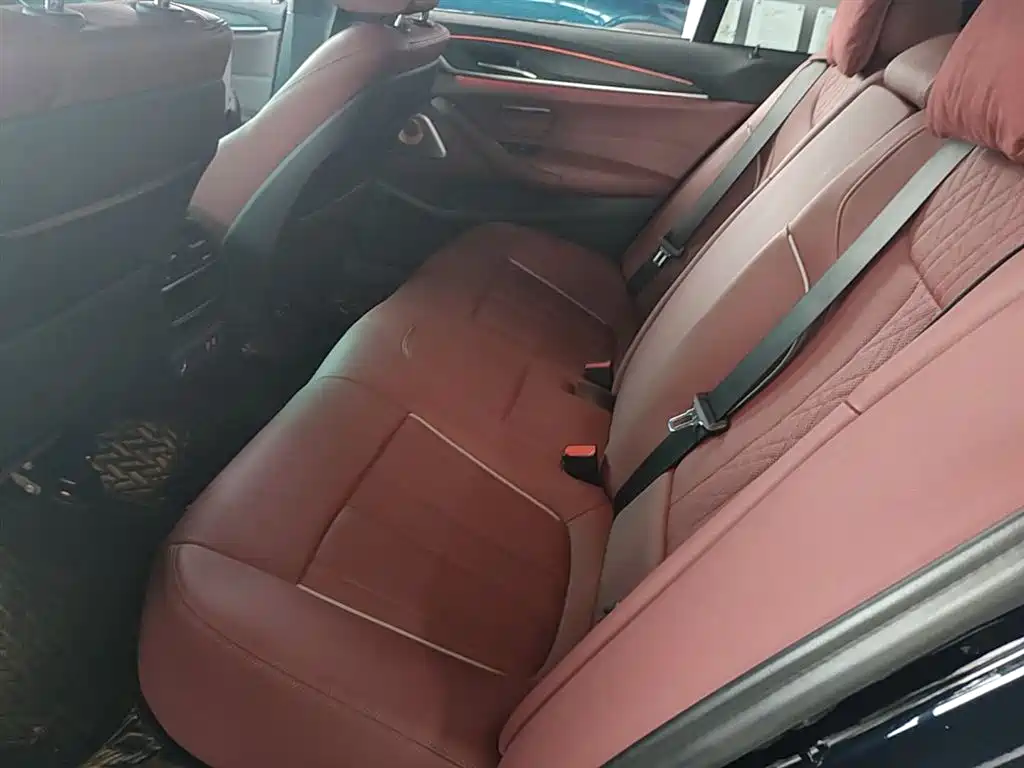 BMW 5 Series 2023 530Li Leading M Sport Package фото 17