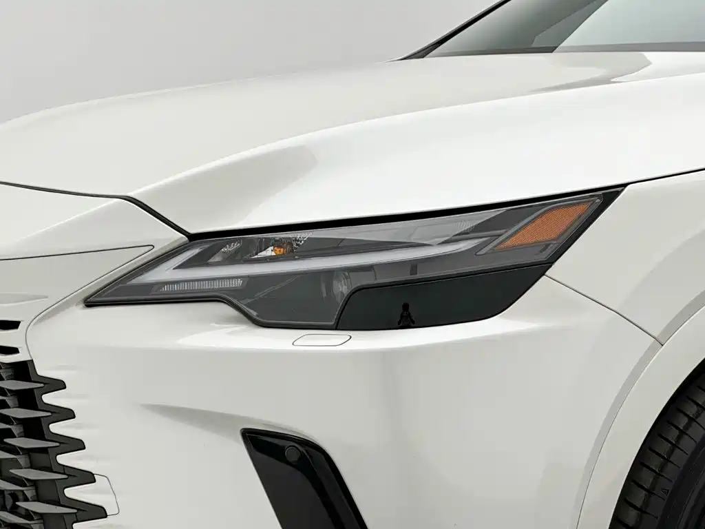 Фото 25 - Lexus RX