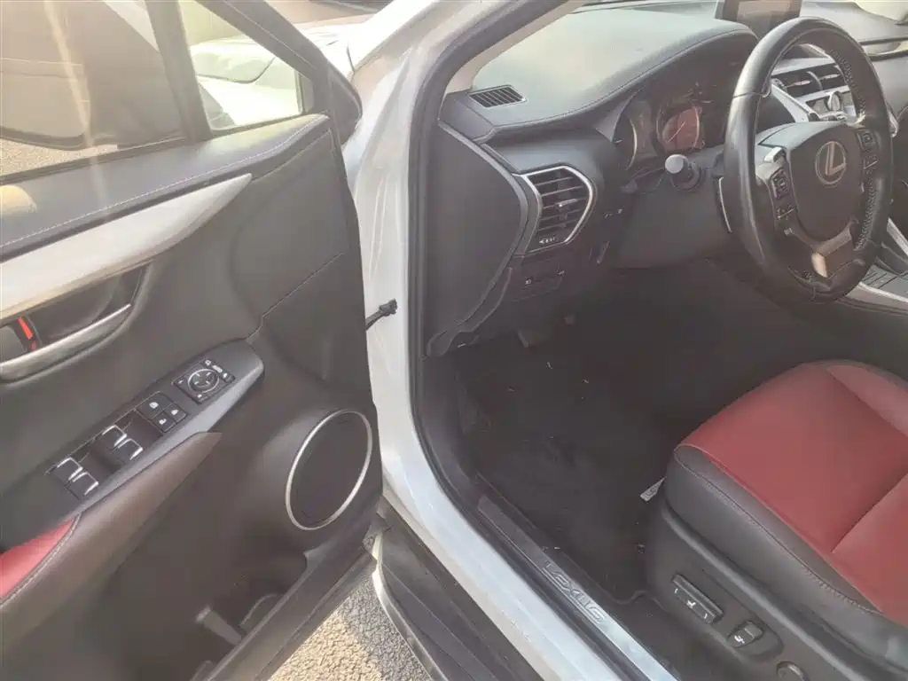 Lexus NX 2018 Model 300h FWD Fengshang Edition China V фото 16