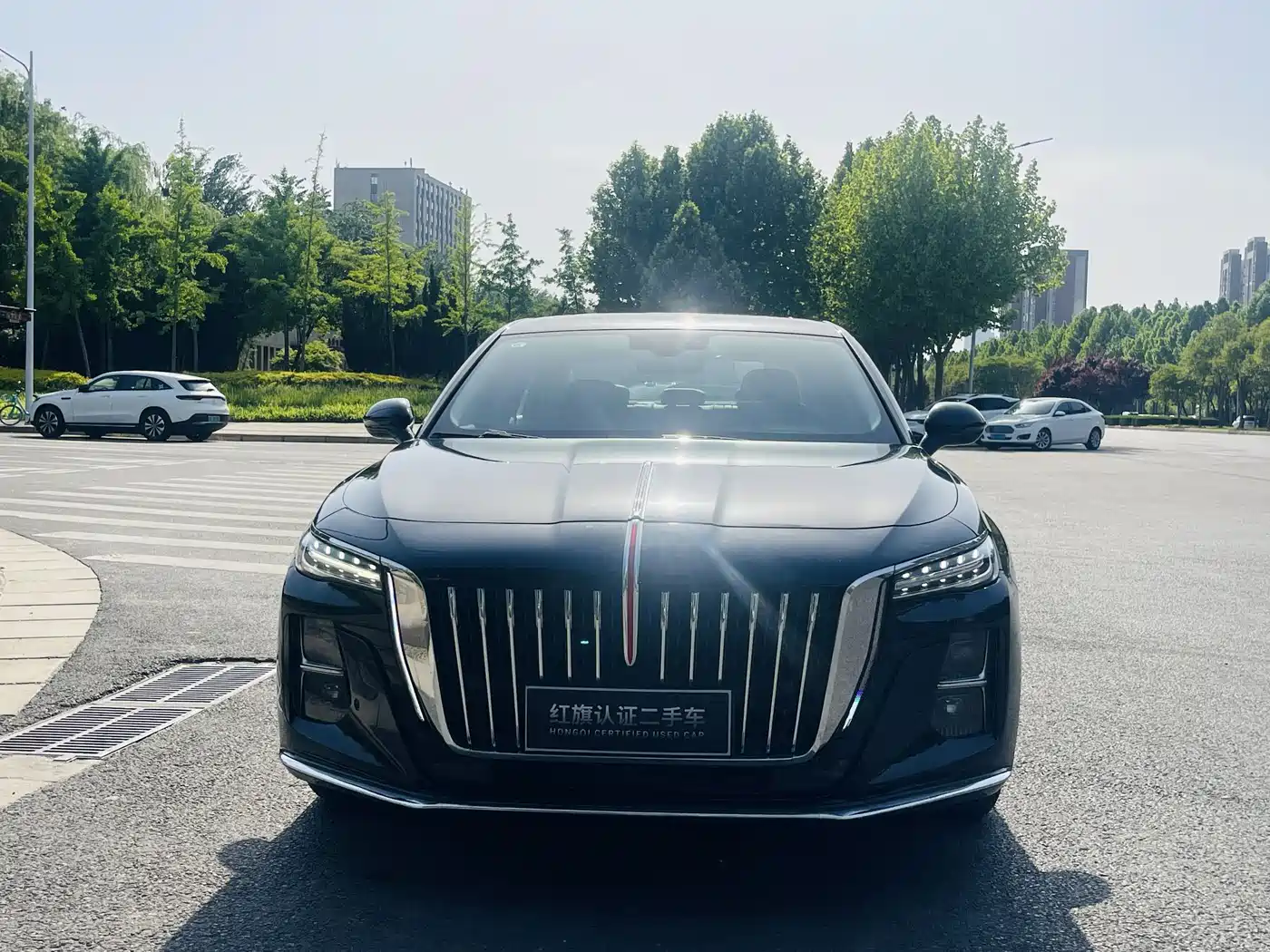 Hongqi H5 2024 1.5T DCT Smart Connect Flag Rhythm Edition фото 2