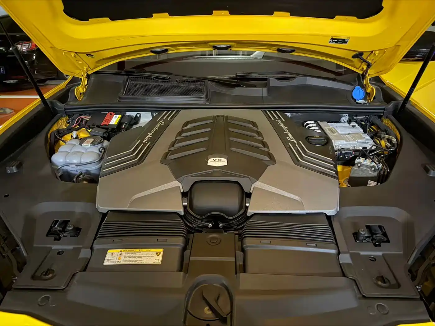 Lamborghini Urus 2018 4.0T V8 фото 8