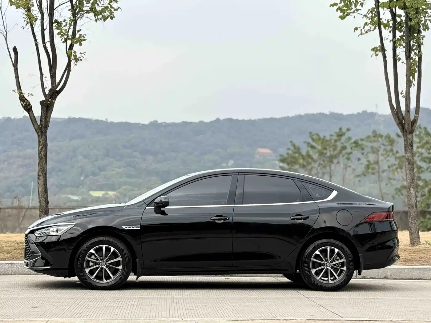 BYD Qin PLUS 2023 Champion Edition DM-i 55KM Leading фото 3