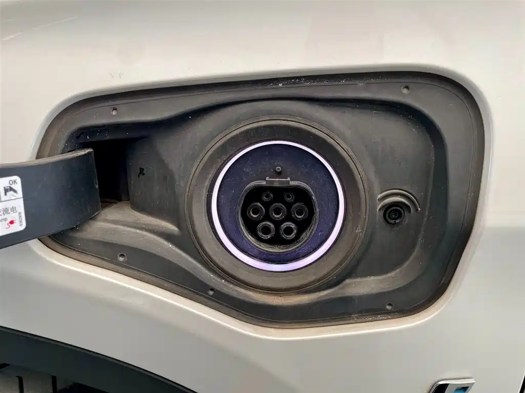 BMW X1 New Energy 2018 xDrive25Le Luxury Model фото 18