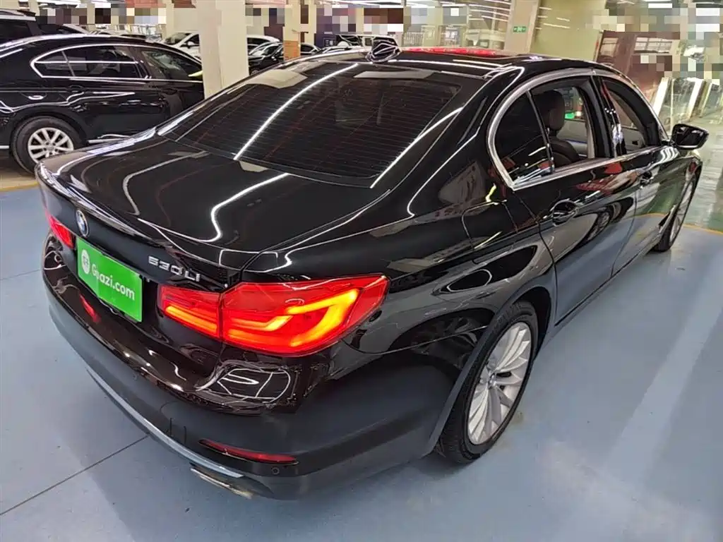 BMW 5 Series 2020 530Li Leading Luxury Package фото 7