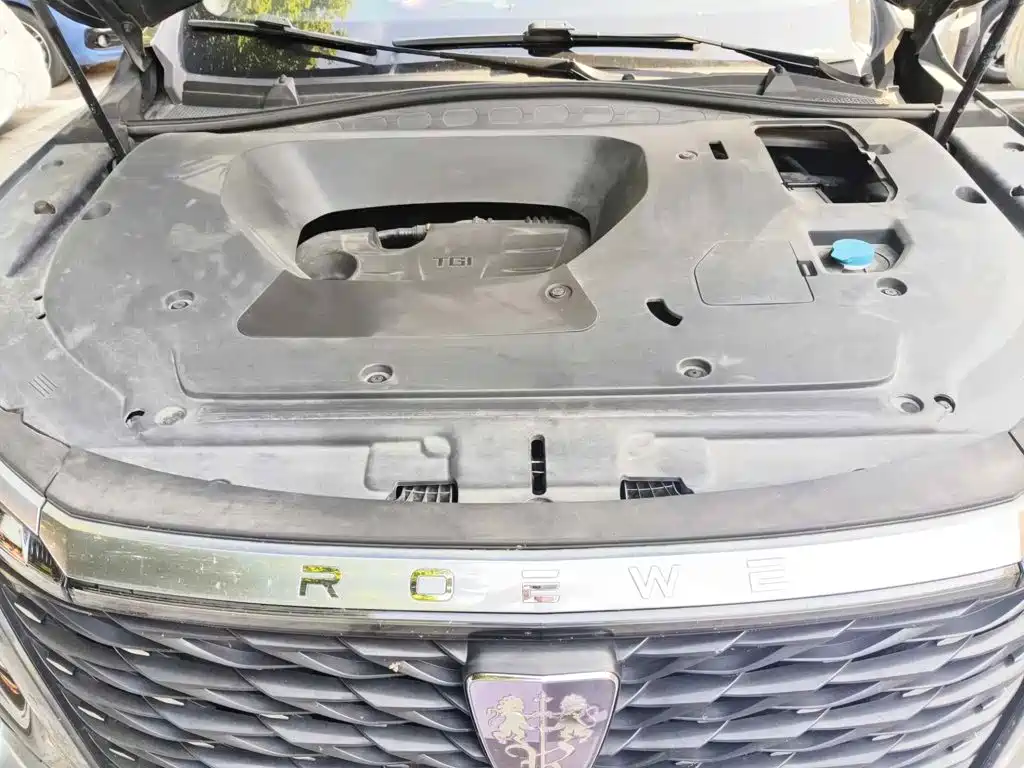 Roewe RX5 MAX 2022 2022 1.5T Auto Promising Premium Edition