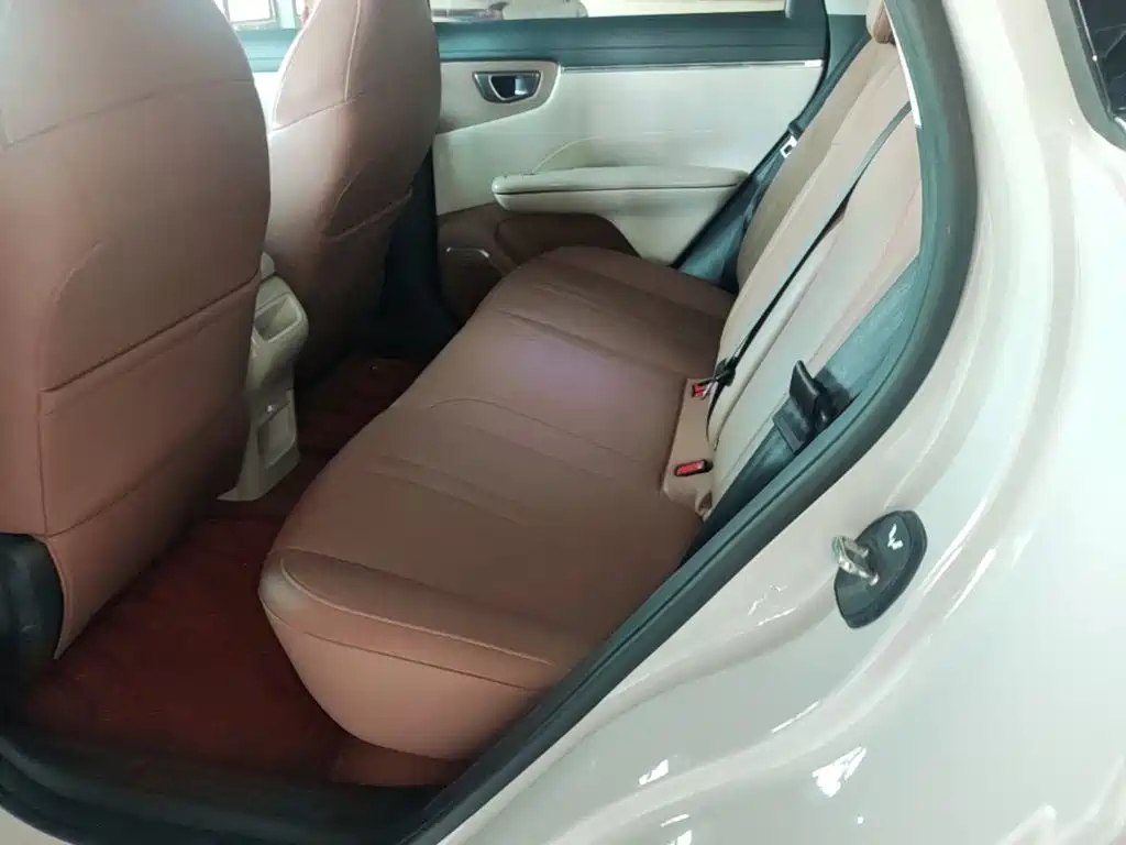 Wuling Motors Wuling Bingo S 2026 2025 Model 325km Premium Edition