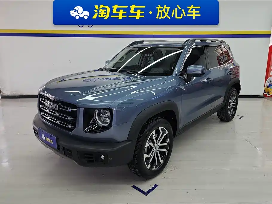 Haval Big Dog 2021 1.5T DCT 2WD Border Collie Edition
