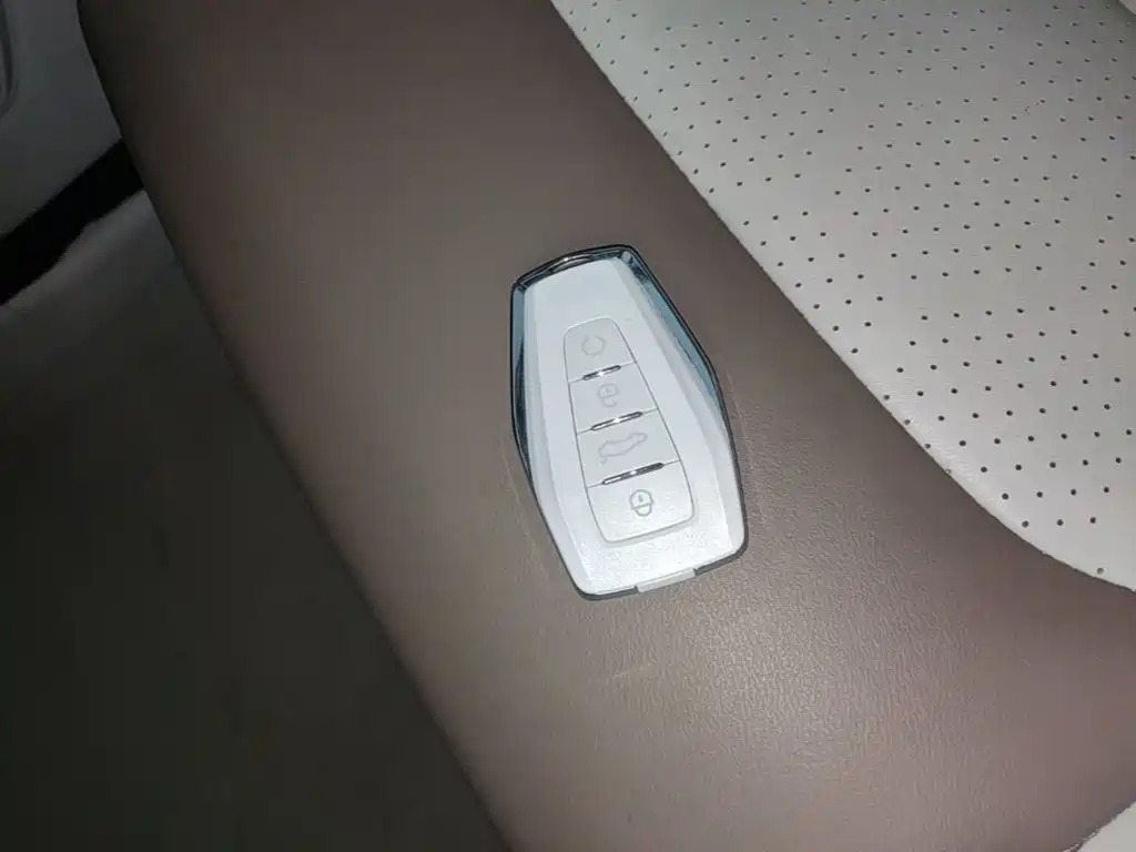 Фото 9 - Geely ICON