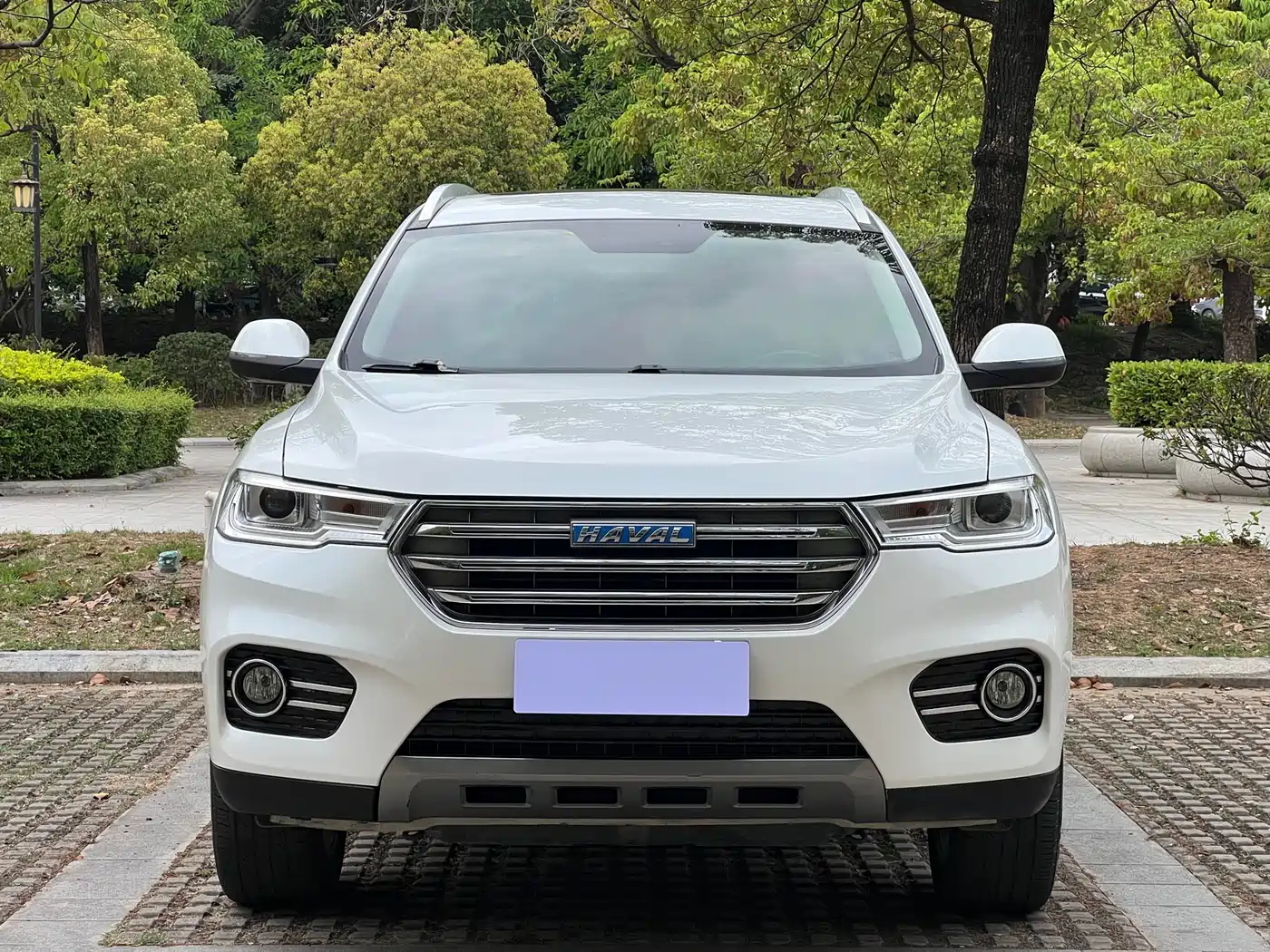 Haval H6 2017 Blue Label 2.0T Automatic 2WD Smart Edition фото 2