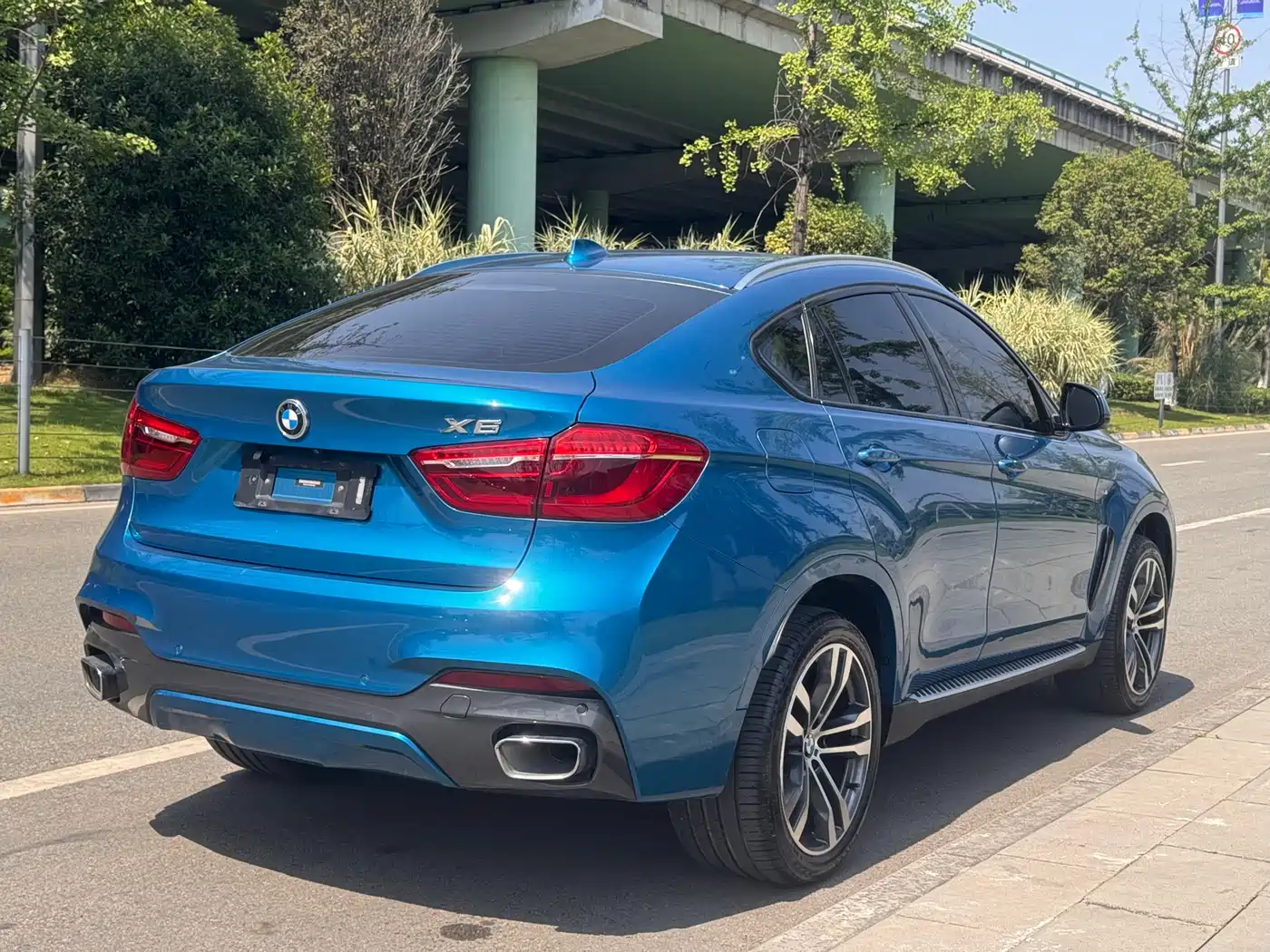 BMW X6 2018 xDrive35i M Sport Luxury Model фото 4