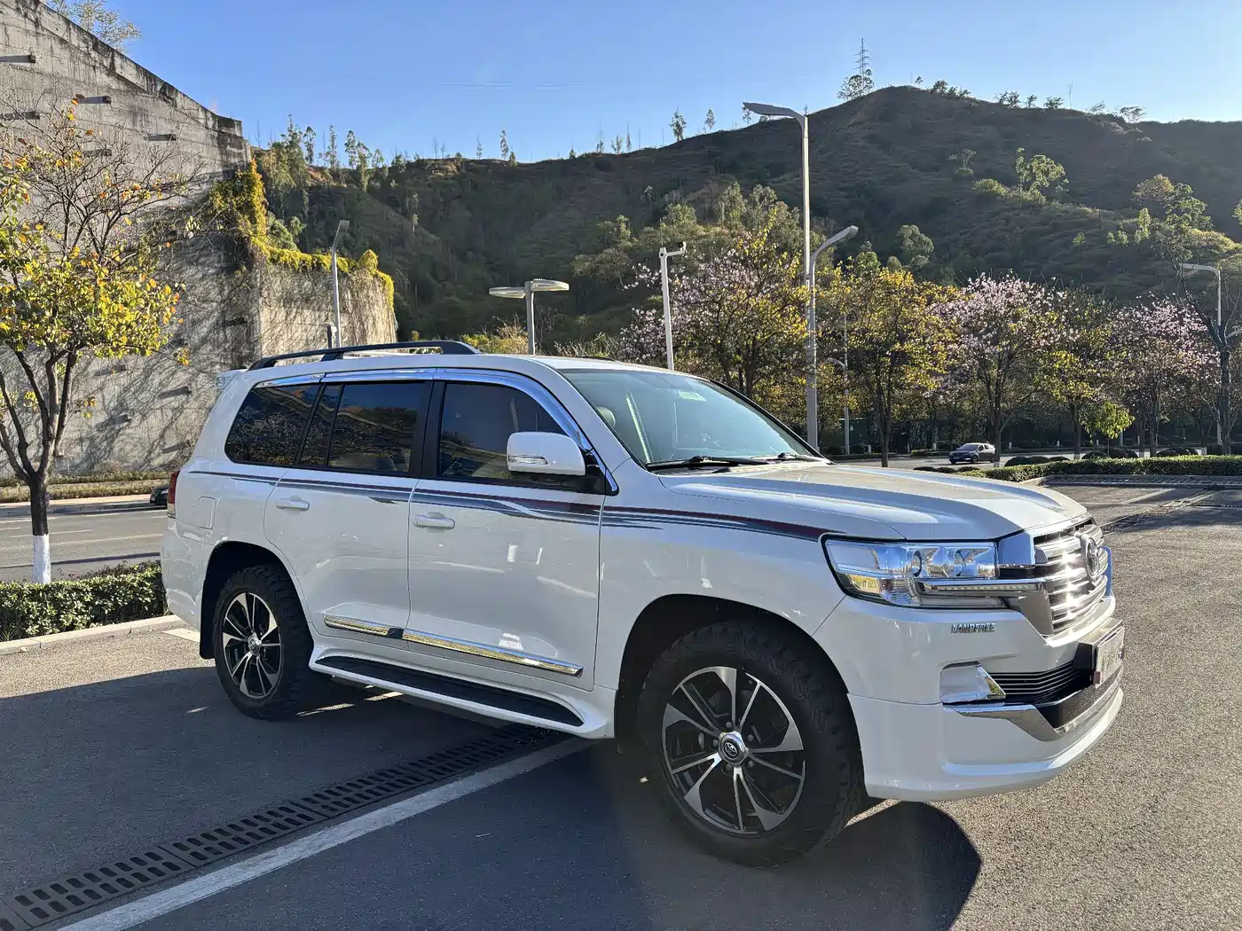 Toyota Land Cruiser (Import) фото 3
