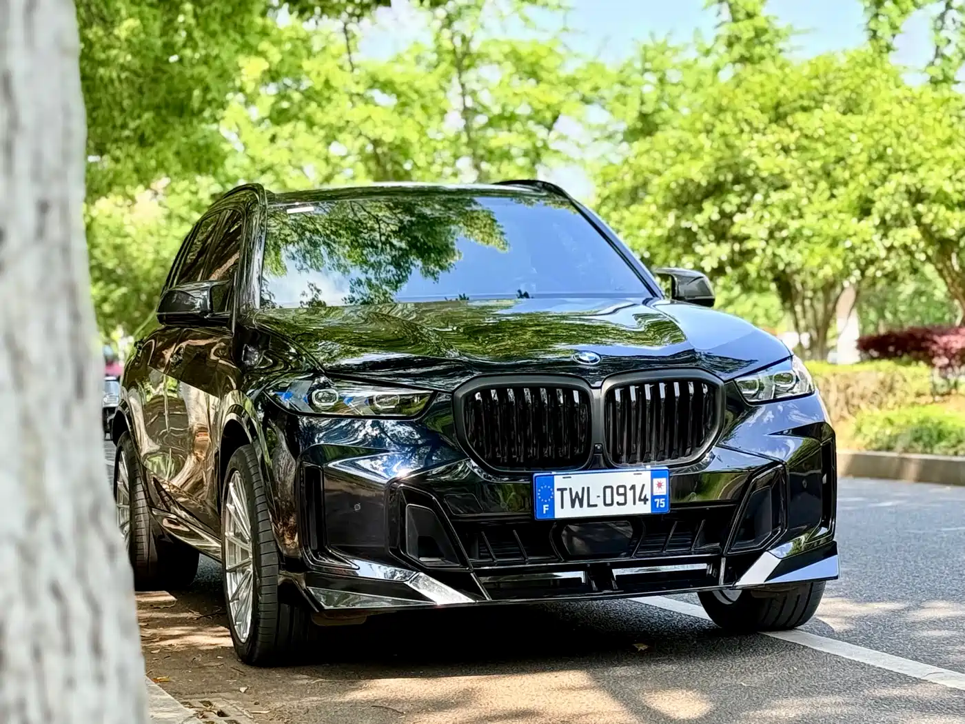 BMW X5 2023 xDrive 40Li M Sport Black Night Package фото 3