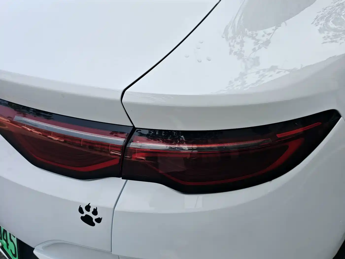Фото 20 - BYD Qin L