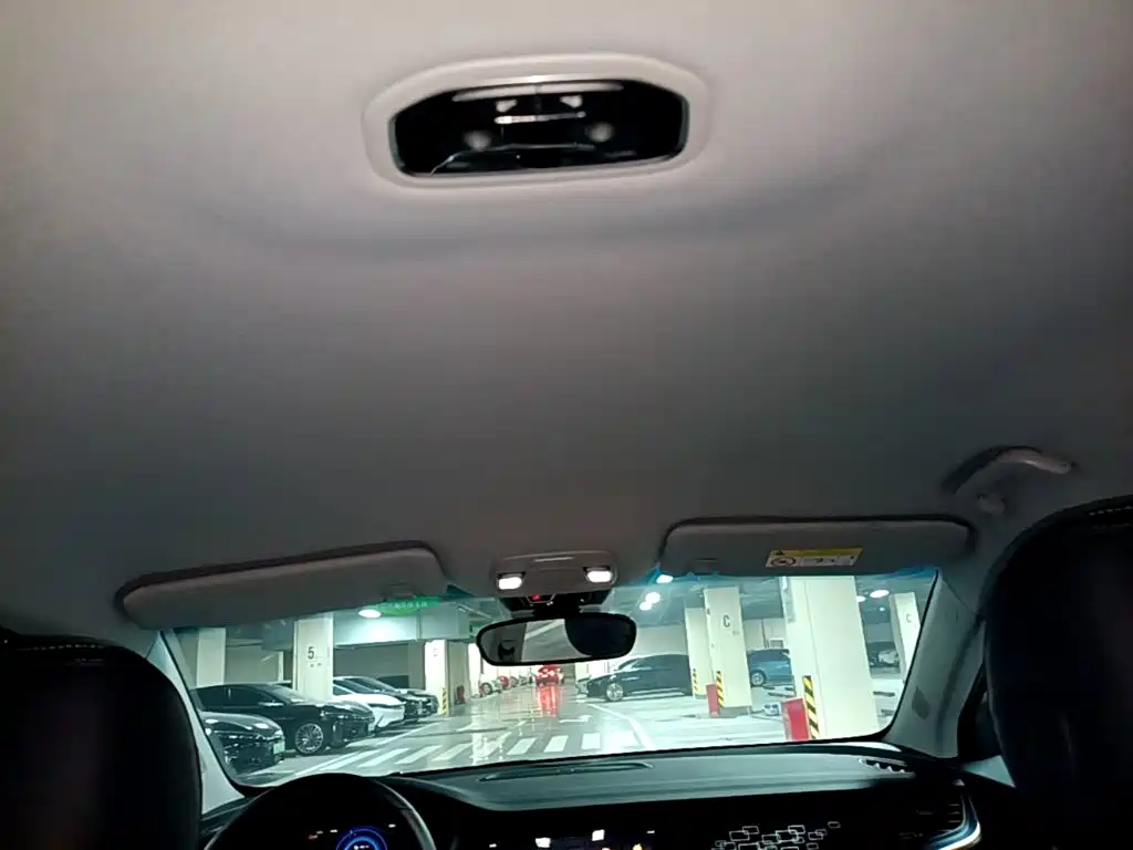 Geely Borui PHEV 2021 2021 1.5T ePro Leading Edition