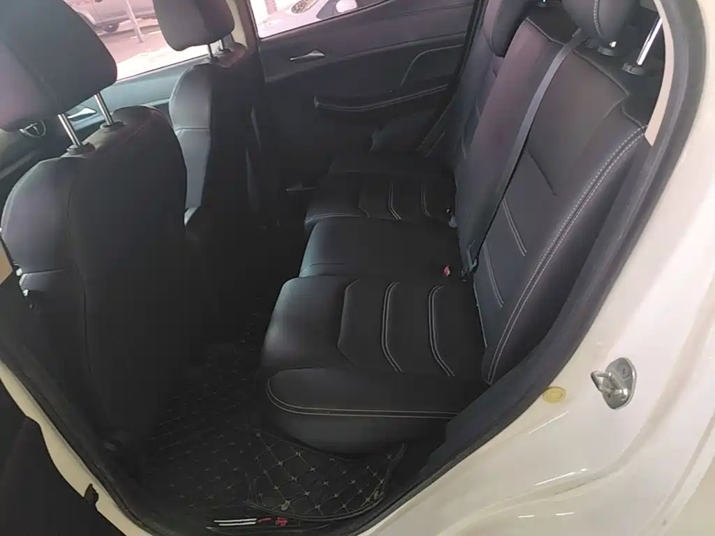 BYD Yuan New Energy 2020 2019 EV535 Smart Connected Trend Leader Type