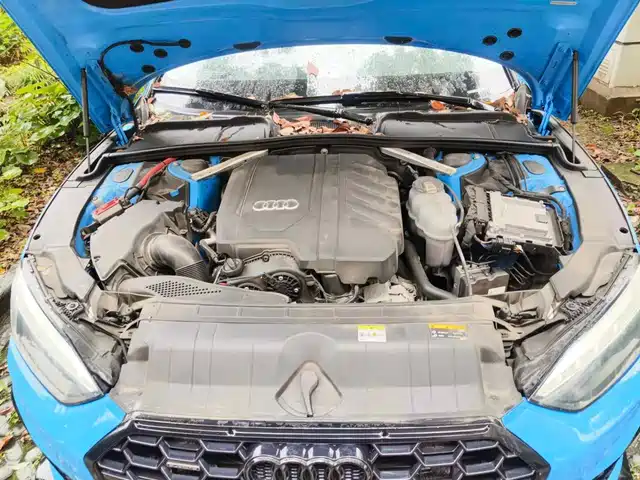 Audi A5 (Import) 2021 Sportback 40 TFSI Fashion Dynamic — фото 3
