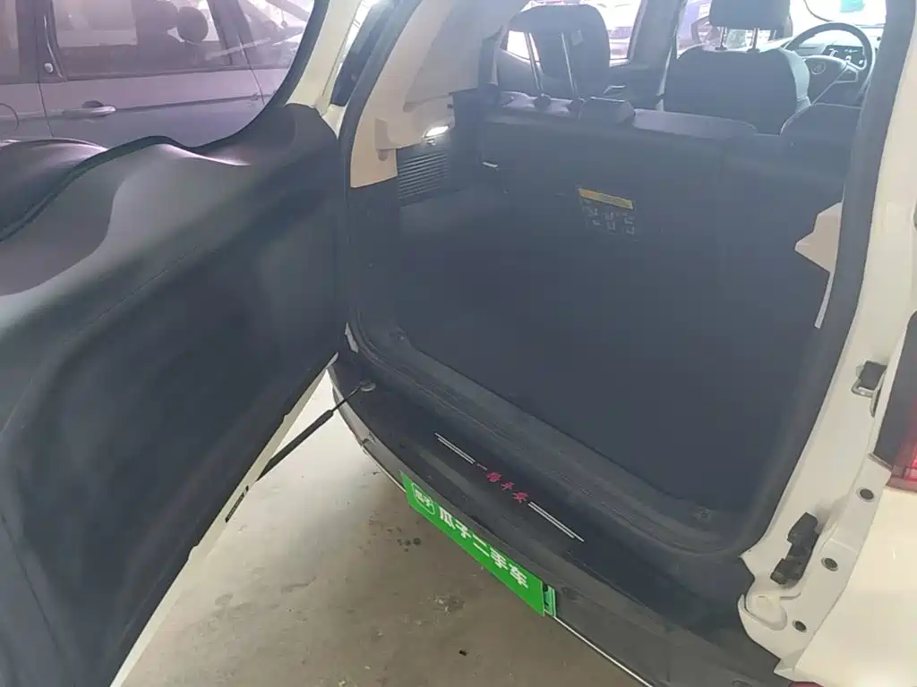 BYD Yuan New Energy 2020 2019 EV535 Smart Connected Trend Leader Type