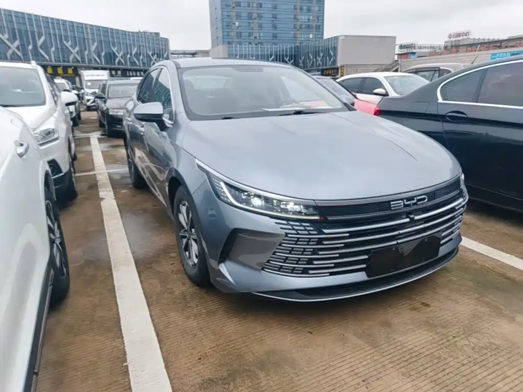 BYD Destroyer 05 2024 2023 Champion Edition DM-i 55KM Luxury