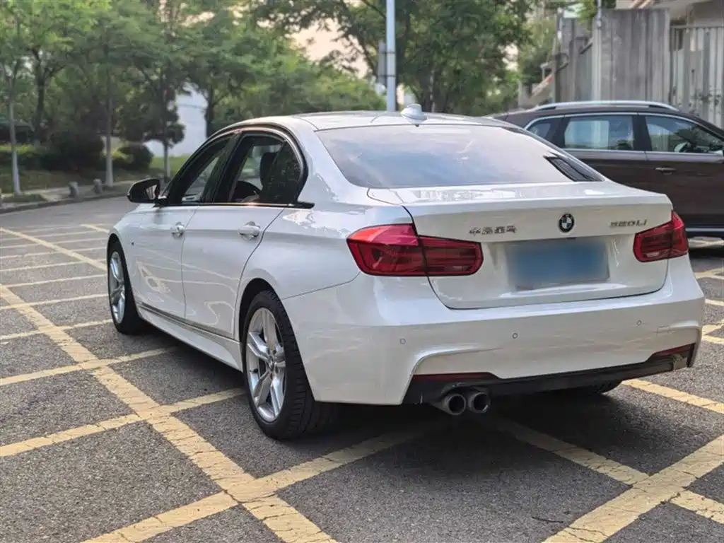 BMW 3 Series 2018 320Li Leading M Sport Package фото 9