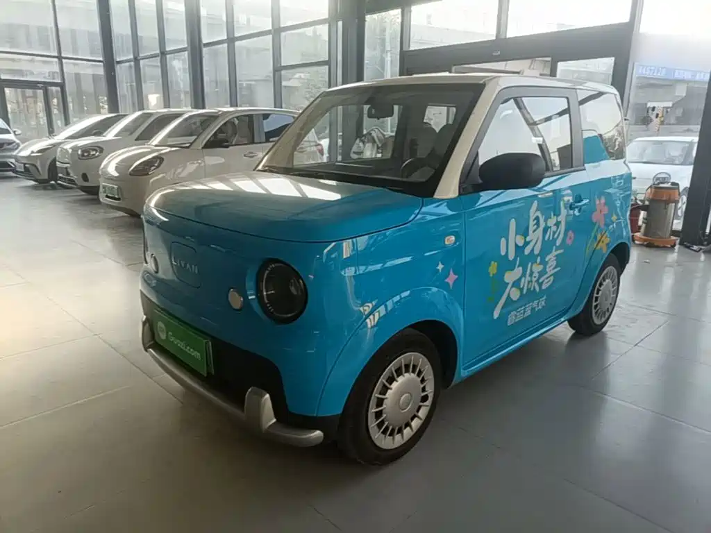 صورة 2 - Ruilan Auto Ruilan Blue Elf