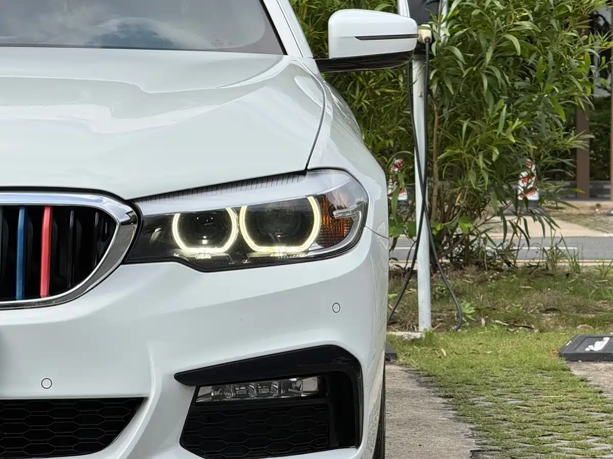 BMW 5 Series (Import) 2018 525i M Sport Package фото 17