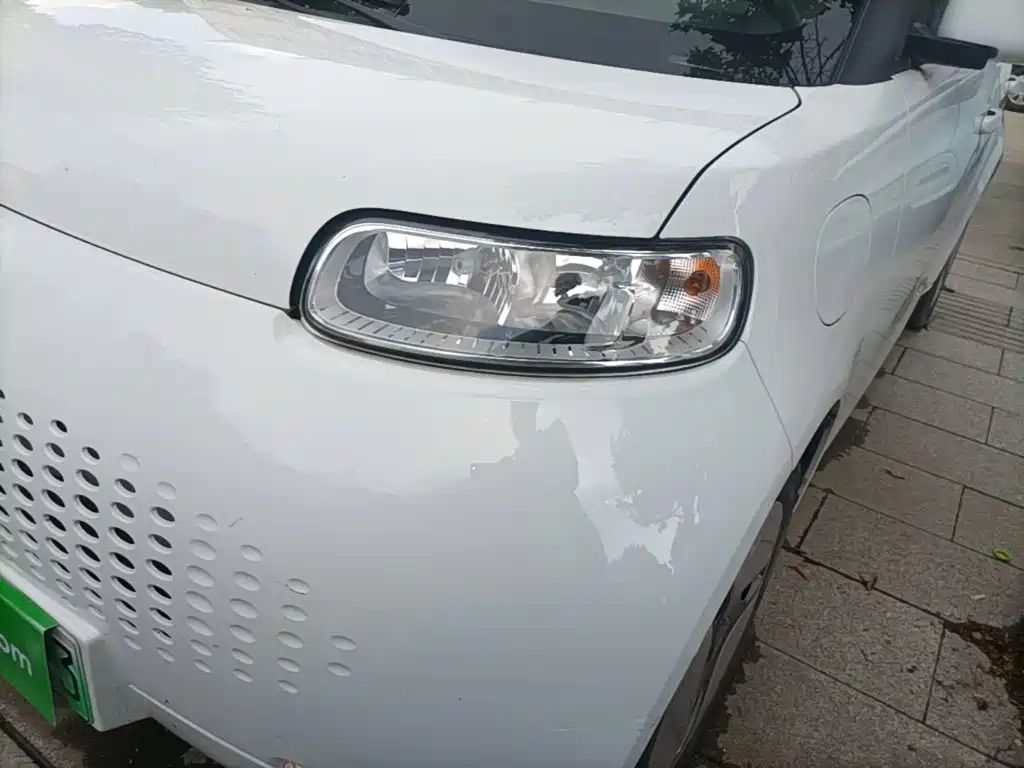 Ora White Cat 2020 2020 360km Luxury Model