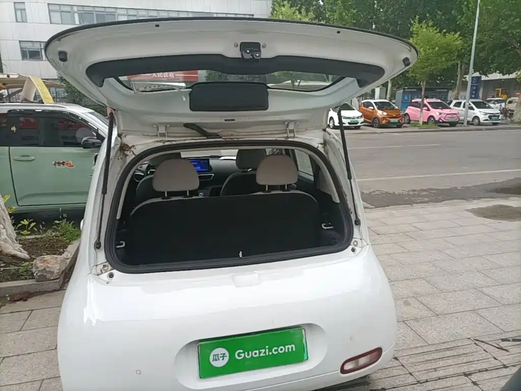 Ora White Cat 2020 2020 360km Luxury Model