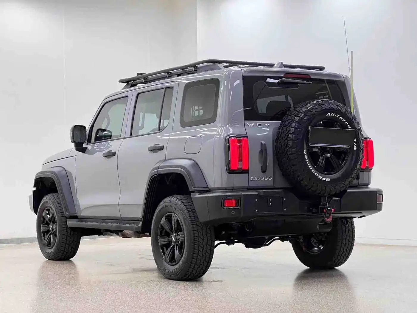 Tank 300 2021 2021 Off-road Version 2.0T Conqueror