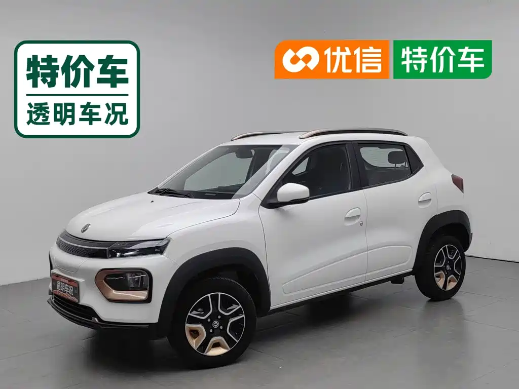 Dongfeng Yipai Nano BOX 2023 2022 Wind Chaser Edition 331KM Standard