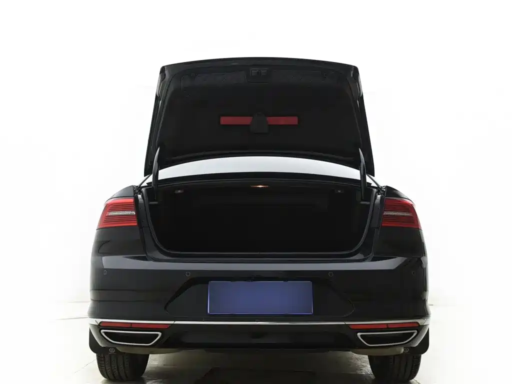 Volkswagen Magotan 2019 330TSI DSG Luxury China V фото 14