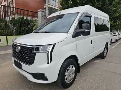 Maxus New V80