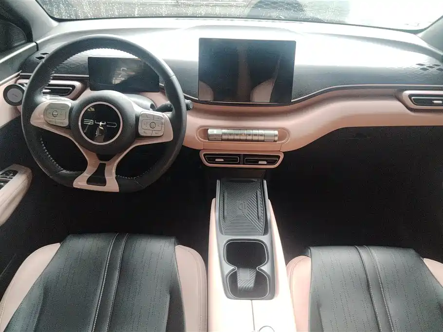 BYD Seagull 2023 Freedom Edition фото 12