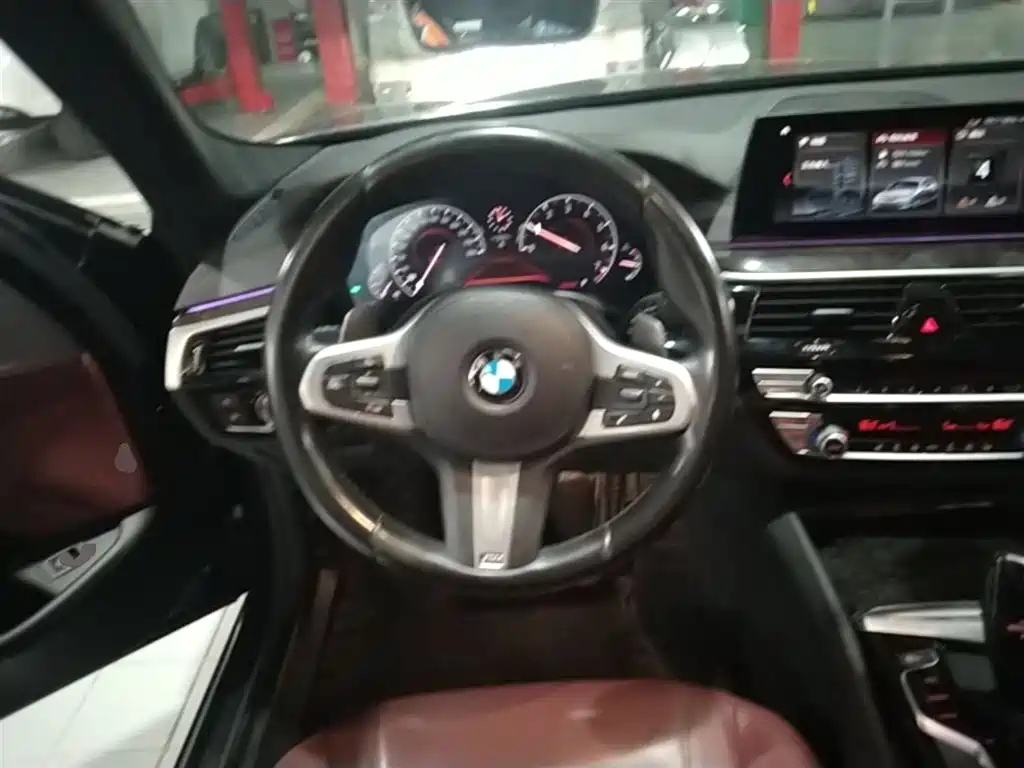 BMW 5 Series 2019 530Li Leading M Sport Package фото 7