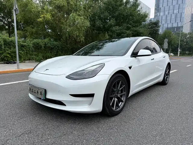 Tesla Model 3 2021