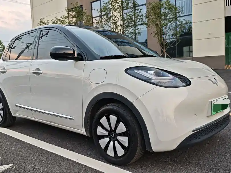 Фото 3 - Wuling Motors Wuling Bingo